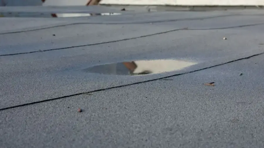 Ponding water on a flat membrane roof, where row-house roof leaks often start